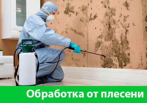 Обработка от плесени в городе Железногорск